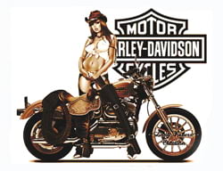 Бренд Harley-Davidson