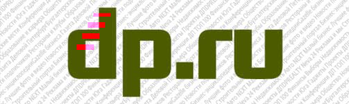 Елена Морозова, директор школы «Взмах»