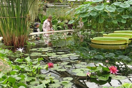 Частный детский сад «Взмах» в Центральном районе – В ботаническом саду