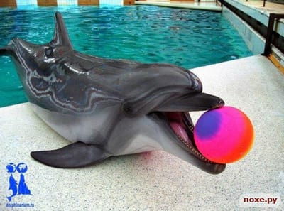 Частный детский сад «Взмах» в Центральном районе – Гранд макет Россия