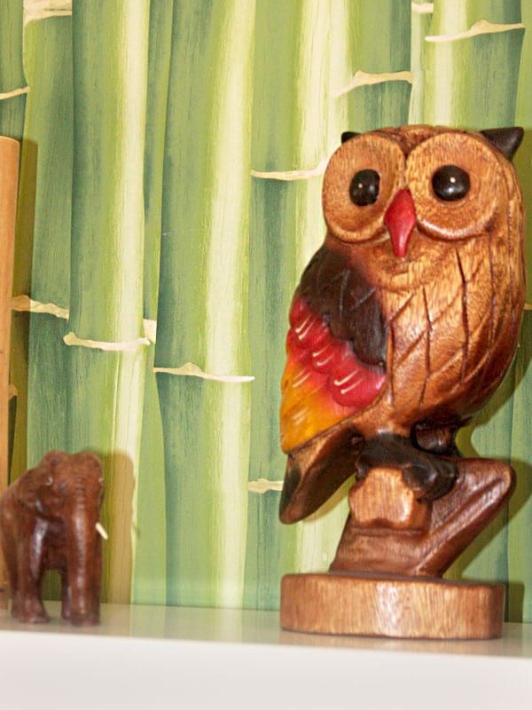 Англоязычный детский сад «Взмах у озера» – мудрая сова.