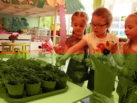 Частный детский сад «Взмах», Кировский район – ухаживаем за цветами