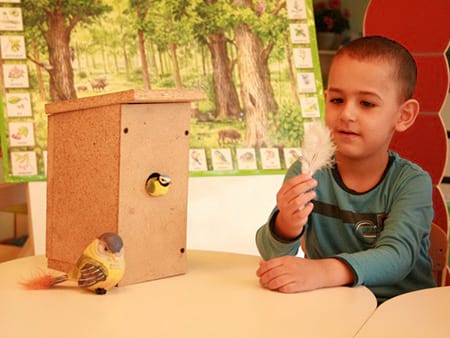 Частный детский сад «Взмах», Кировский район – занимательная биология