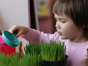 Частные ясли с английским в СПб