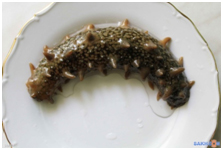 Уголок настоящего Горца > Китайский разрез